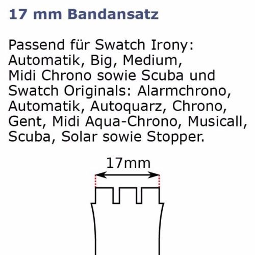 Swatch Bracciale 17 mm Green Lacquer agm709