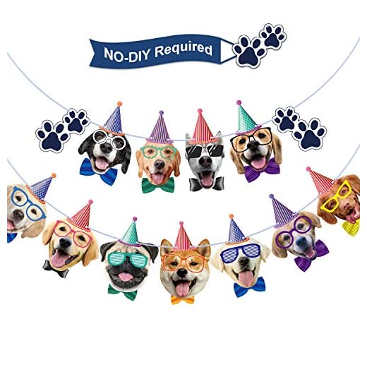 Blulu Pancarta de Cumpleaños de Caras de Gato Guirnalda de Cumpleaños Banderines de Fiesta de Kitties para Fiesta Temática de Gato Fiesta de Bienvenida a Bebé (Perro, 13 Piezas)