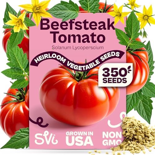 SVI 350 Beefsteak Tomato Seeds (Solanum Lycoperscium) - Determinate Beefsteak Tomatoes Fleshy Tomato Heirloom Seed Packets - Annual Vegetable Seeds for Outdoor Garden Raised Beds Containers