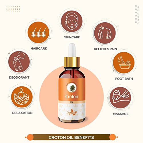 Image of Crysalis Croton (Codiaeum Variegatum) Oil|100% Pure & Natural Undiluted Carrier Oil Organic Standard For Skin & Haircare|For Skin, Health & Reduce Skin Breakouts, Used In Aromatherapy 100ml