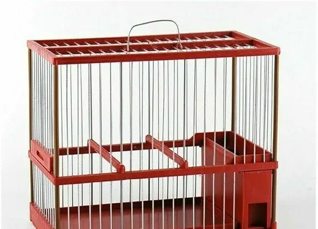 Jaula C2 Verde para Concurso y Canto de Silvestrismo - Extraíble