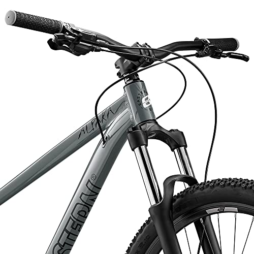 Eastern Bikes Alpaka 29" Mountain Bike Men's Hardtail (Grey, 17") #TOP5