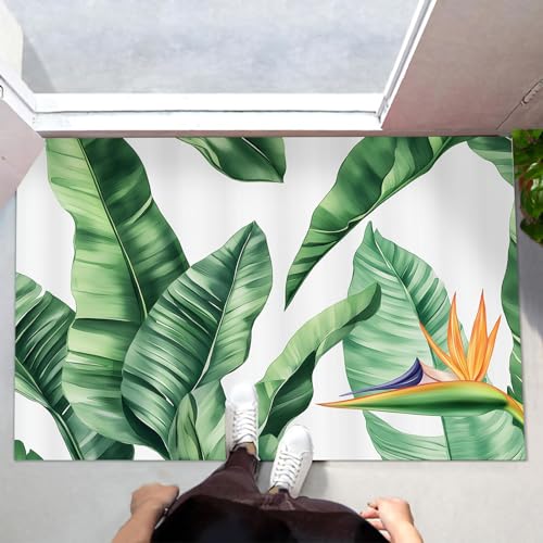Tapis de porte imprimé vert blanc 70x100cm pour l'entrée
