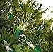 Holiday Time Bundle 4 Pack 100 Clear Mini Light - 23 feet Green Wire, 92 feet Total