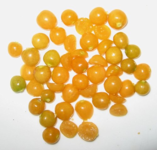 200 GROUND CHERRY Physalis Pubescens (Golden Strawberry / Chinese Lantern) Vegetable SeedsComb S/H