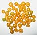 200 GROUND CHERRY Physalis Pubescens (Golden Strawberry / Chinese Lantern) Vegetable Seeds *Comb S/H