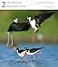 National Audubon Society Birds Gallery 2014 Calendar