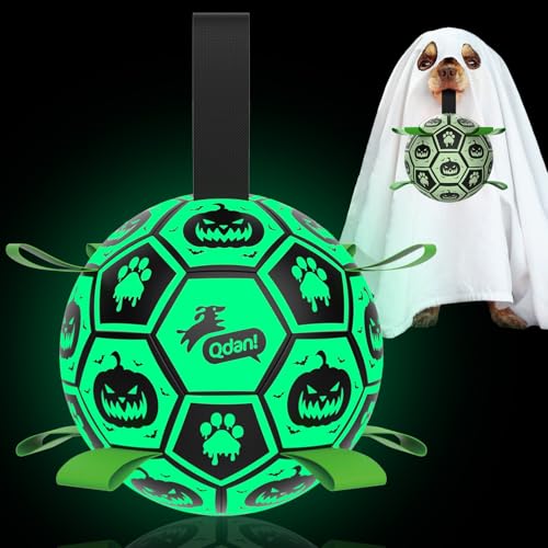 QDAN Glow in The Dark Halloween Dog Toys,Dog Balls with Straps - image 1