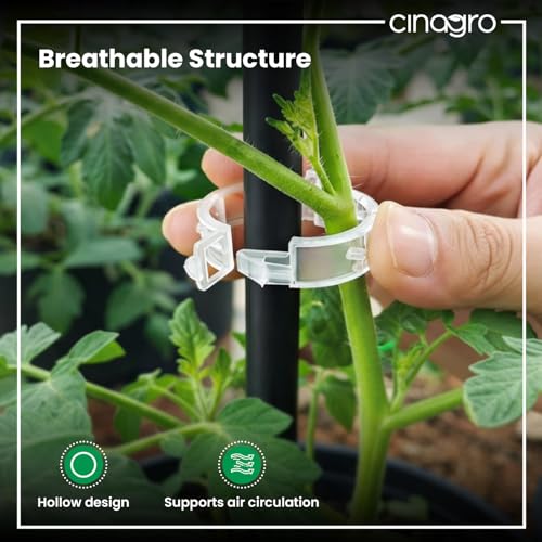Image of Cinagro Plant Support Clips for Climbing Plants, Set of 100, 4cm Dia | Reusable Stem Holder for Upright Growth, For Vines, Vegetables, Flowers