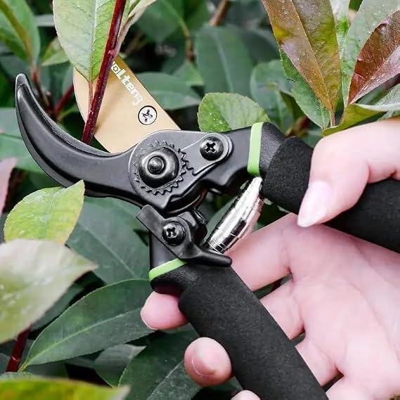 Image of 8 Inch Gardening Scissors -Pack of 1 | Plants Scissor | Garden Shear Tree Branch Pruner | Gardening Cutter Tool | Plant Cutter for Home Garden | Wood Branch Trimmer