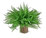 LSKYTOP 4 Pack Artificial Ferns Plants Artificial Shrubs Boston Fern Bush Plant Greenery Bushes Fake...