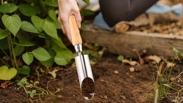 Herramienta de Plantador de Bulbos de Acero Inoxidable 11" miniatura 7