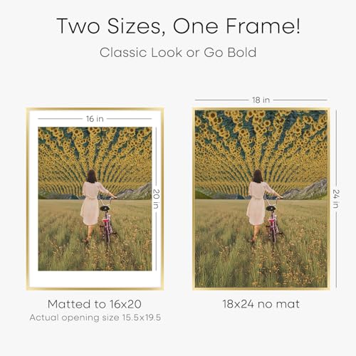 Image of Homeforia 18 x 24 Poster Frame Gold, High End Metal 18x24 Picture Frames with Mat 16x20 Photo, 18 x 24 Gold Frame Matted to 16 by 20 Print, 24x18 Thin Hanging Frame, Tempered Glass, Wall Kit, Set of 3
