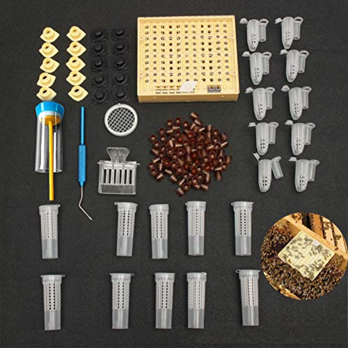 FADDARE Kit coppette per Allevamento di api