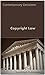 Copyright Law (Intellectual Property Law Series)