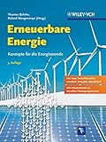  Erneuerbare Energie: Konzepte für die Energiewende
