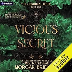 Vicious Secret cover art