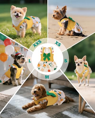 Image of CuteBone Dog Dress for Small Dogs Girl, Spotted Summer Dresses with Bow & Ruffle Sleeve, UPF50+ Sun Protection, Cute Pet Clothes for Puppy for Birthday Wedding Party Beach ZSFX05L