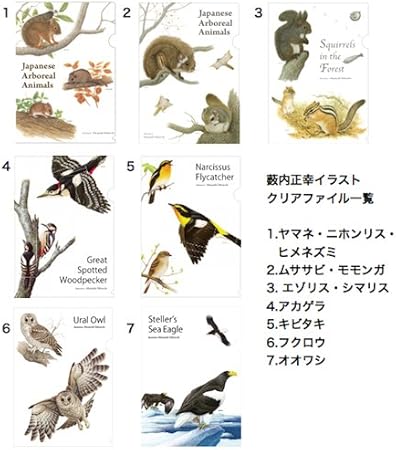 Amazon Co Jp 薮内 正幸 Clear File Narcissus Flycatcher Office Products
