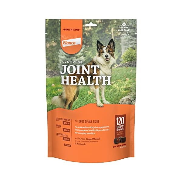 Synovi G4 Dog Joint Supplement Chews, 120-Count, for Dogs of All Ages, Sizes and Breeds