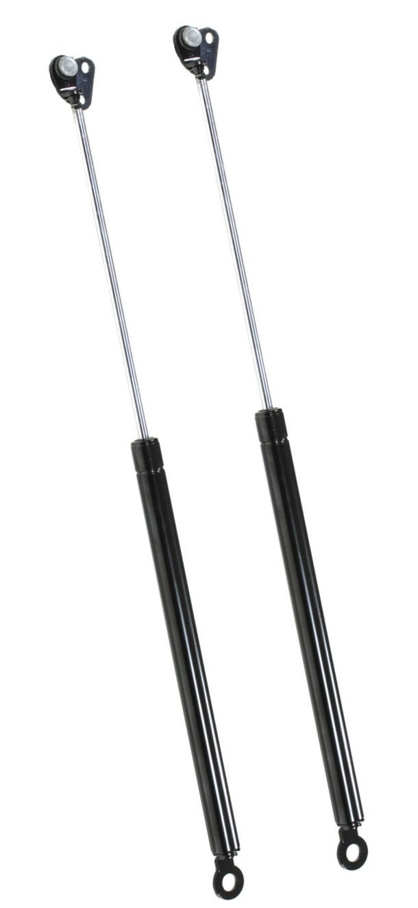 Ezzy Lift4870 Fits Honda Civic 3 Door Hatchback 1996-2000 Hatch Lift Supports Strut, Set of 2