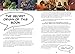 Reading With Pictures: Comics That Make Kids Smarter