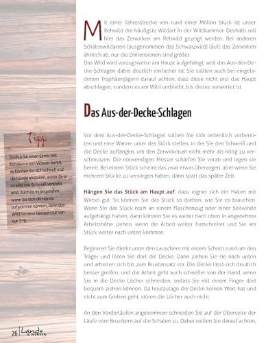 Wildverwertung praktisch: Wildbret schnell und erfolgfreich vermarkten: Land & Werken: Die Reihe für Nachhaltigkeit und Selbstversorgung