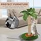 HOMYHANDS Kratzbaum für Indoor-Katzen und Kätzchen, 60 cm hoch, Katzenkratzbaum mit Sisalseil, Palme, Katzenkratzbaum mit hängendem Ball (60 cm)