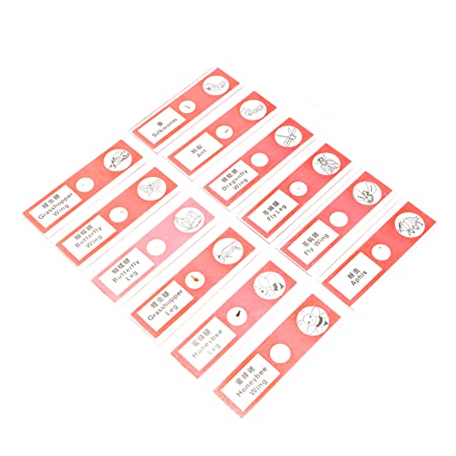 KICHOUSE 1 W{ |Pbg LbYXCh ̃XChƃJo[ oዾ Ki S XCh XChW{Lbg eW{RNV ȋ vX`bN