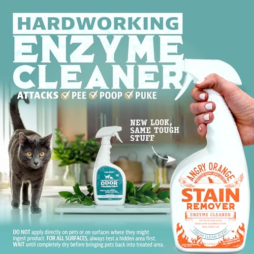 Image of ANGRY ORANGE Cat Urine Odor Eliminator & Stain Remover, Pet Stain Enzyme Cleaner Spray for Dog & Cat Pee - Fresh Scent - 32 oz