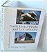 Frank Lloyd Wright and Le Corbusier: The Romantic Legacy