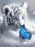 ADCCAT