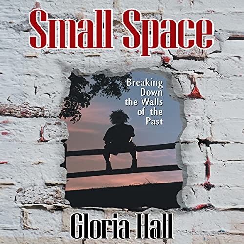 Small Space by Gloria Hall episode artwork