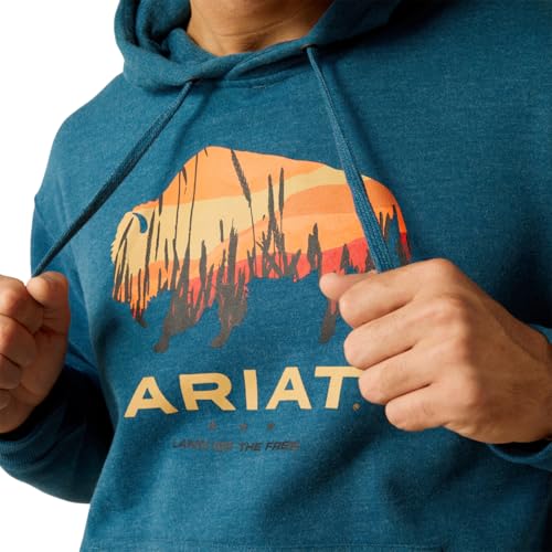 ARIAT Men's Bison Plains Hoodie4