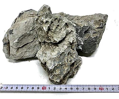 Amazon | 水槽装飾 青龍石 形状お任せ4個 70-150mm (約1800g