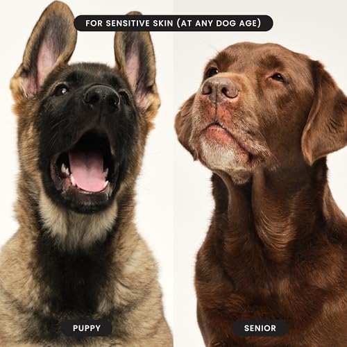 Tangle Teezer | Pet Teezer | Puppy Grooming Brush | Dry Brush or Dog Bath Brush | Mint