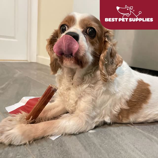 Image of GigaBite Bully Sticks for Dogs All Natural Beef Pizzle Dog Chews, Odor & Rawhide Free Dog Treats, Long Lasting High Protein Chews Digestible Dental Dog Treat - Sticks (Monstrous 12 inch), Pack of 4