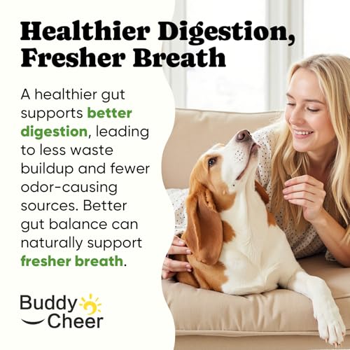 Probiotics for Dogs – Helps Digestion, Loose Stools, Gas & Sensitive Stomachs, Probiotics for Itchy Skin & Dog Yeast Infection, Immune & Fresher Breath with 4 Prebiotics & 5 Digestive Enzymes – 180 ct - Image 6