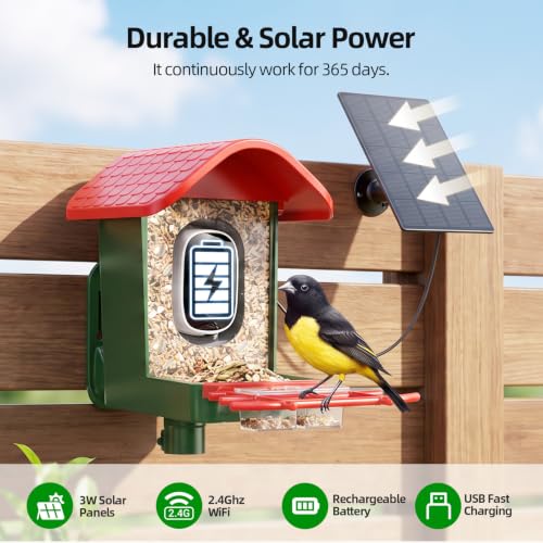 Cadrali 3K Smart Bird Feeder with Camera, 2.4GHz WiFi, AI Bird Species ID - image 4