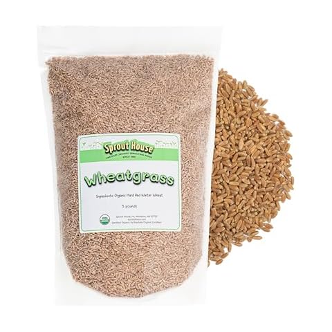 The Sprout House Wheatgrass Seeds – 5LB Certified Organic Wheatgrass Seed for Growing - Healthy and Rich in Nutrients, Loaded with Chlorophyll, Cat Grass Seeds, Wheatgrass Growing Seed Cover