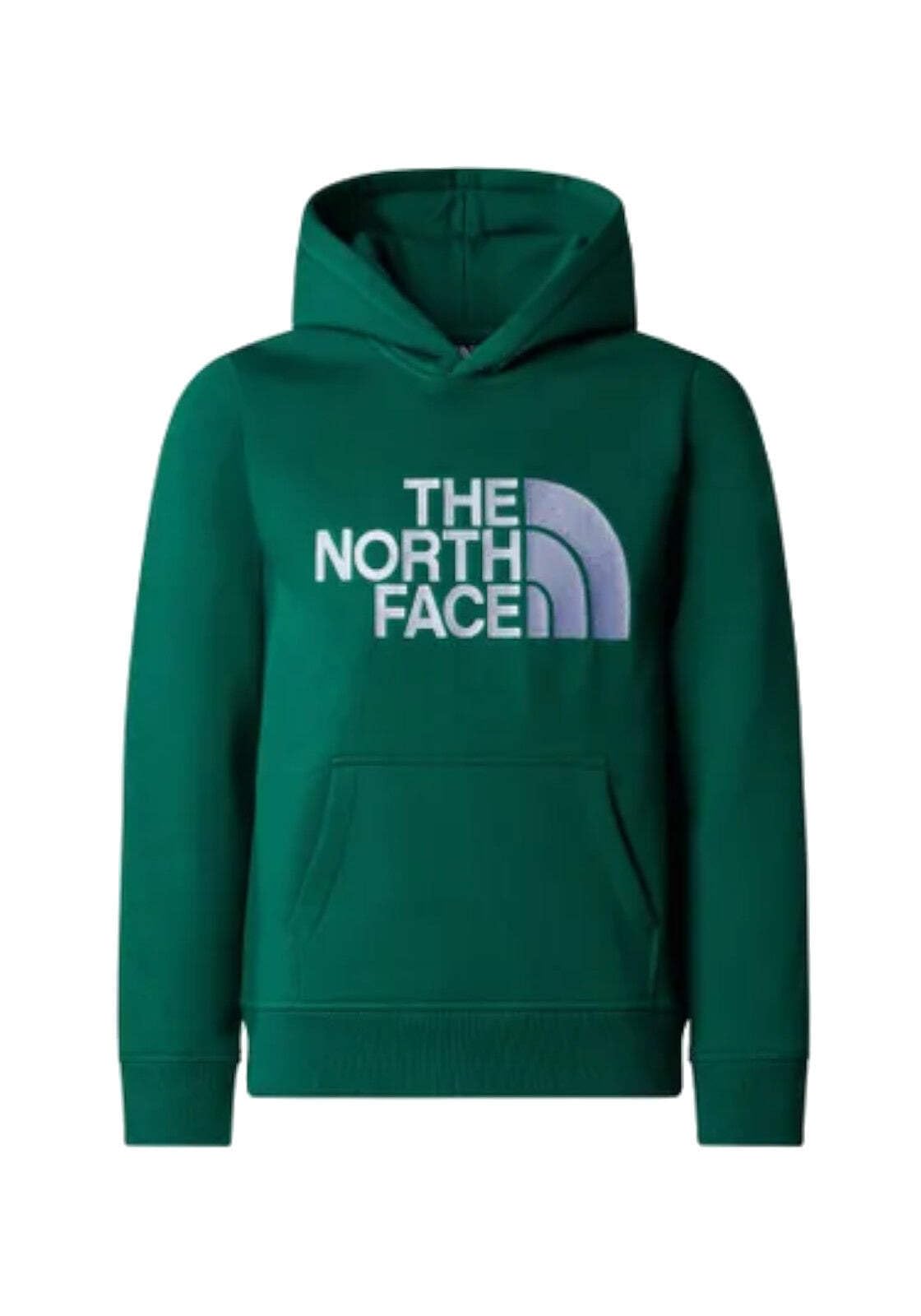 The North Face Youth Drew Peak, Sudadera con Capucha para Niños