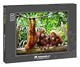 fotopuzzle.de: Puzzle 1000 Teile „Nahaufnahme von Orang-Utans, selektiver Fokus“