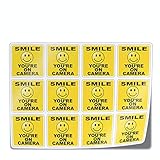 Mini 1" Smile You're on Camera Sticker Decals for Lyft Uber Dashcams - 12 Stickers (1" each) by Flippin Stickers