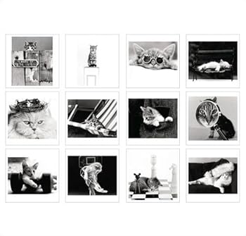 Calendar Classic Cats 2009 Calendar Book