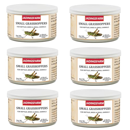 JADINGSFARM 6 Pack Canned Small Grasshoppers for Reptiles, Fish, Birds and Small Animals, Grasshoppers, Healthy High Protein Treat, Bearded Dragon Food 1.2 Ounces Each