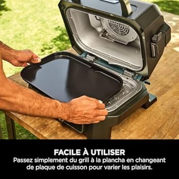 Ninja Woodfire XL Griddle Non Adhesive Flat Groove Plate