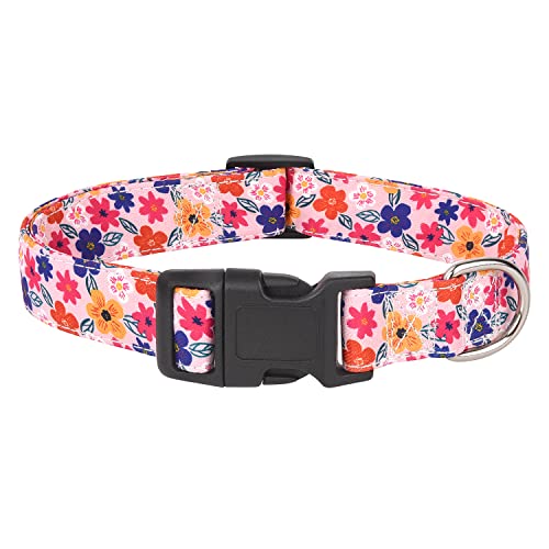 Moonpet Dog Collars for Puppy X-small Small Medium Large Dogs - Image 3