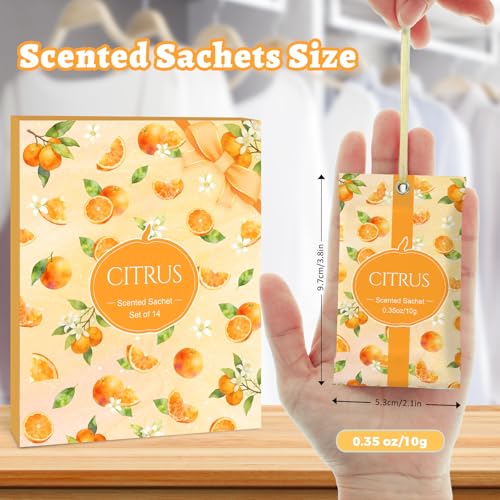 Image of STRN Scented Sachets for Drawer and Closet, Citrus Scent 14 Packs for Home