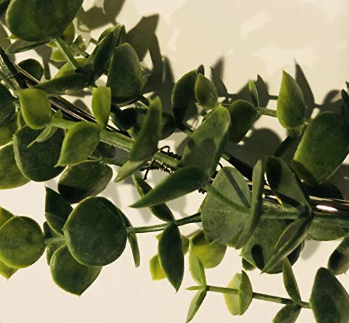 Designs By Dh Metal Hoop Wreath Shabby Chic Eucalyptus Succulent Green Simple Wedding Baby Nursery Rustic Farmhouse Scandinavian Home Decor (Large - 12") #TOP3