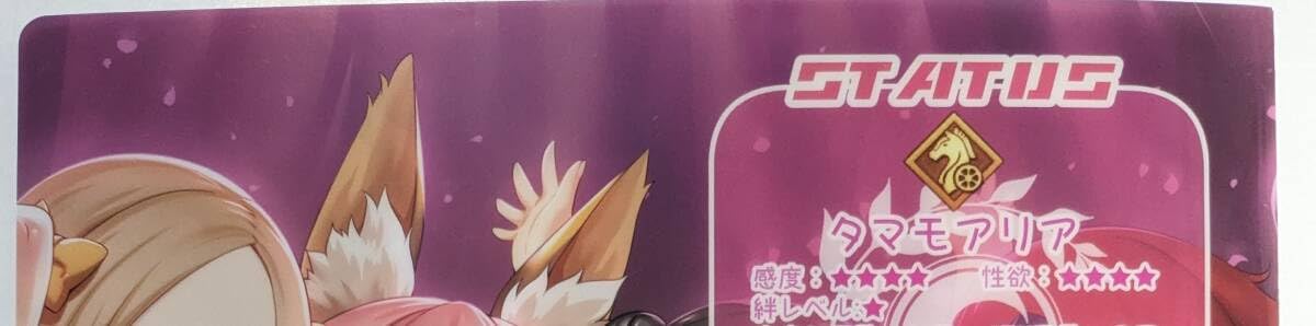 Amazon.co.jp: タマモアリア クリアファイル FGO MだSたろう